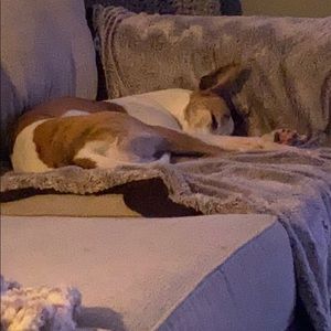 Meet your Posher, Mikayla